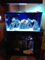 ImageUploadedByReefs1347413675.856617.jpg