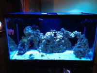 ImageUploadedByReefs1347413709.684861.jpg