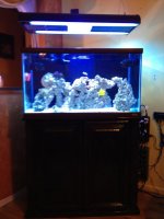 ImageUploadedByReefs1347413732.158091.jpg