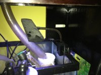 ImageUploadedByReefs1347414564.095002.jpg