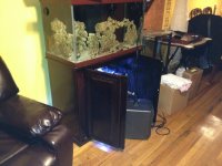ImageUploadedByReefs1347416220.903517.jpg