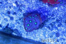 IMG_3417.JPG