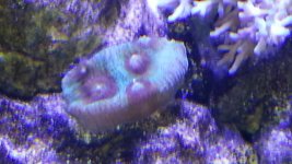 20130413_182734.jpg 20130413_182734.jpg