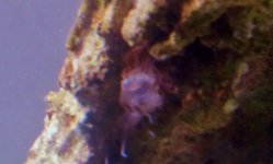 2012-06-26 19.51.09.jpg