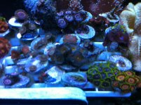 IMG_2042.jpg