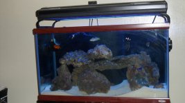 57 GALLON PT2 004.JPG