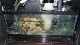57 GALLON PT2 009.JPG