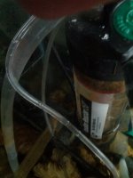 IMG_20130129_131156.jpg