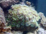 IMG_20130129_144013.jpg