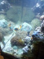 IMG_20130129_144153.jpg