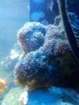 IMG_20130129_144213.jpg