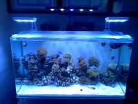 IMG_20130213_174313-1.jpg