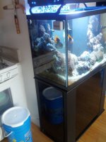 IMG_20130129_144340.jpg