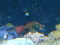 IMG_20130129_170120.jpg