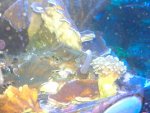 20120913_190229.jpg