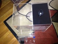 ImageUploadedByReefs1365963946.742688.jpg