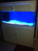 ImageUploadedByReefs1355842460.846835.jpg
