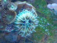 IMG_20120622_231845.jpg
