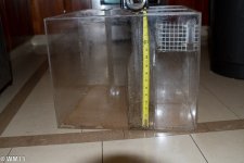 CK Sump-3.jpg