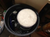 photo skimmer 1.JPG