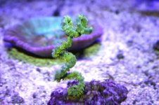 IMG_8282.jpg