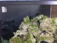IMG_0971.JPG
