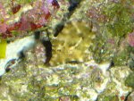 DSC01465.JPG