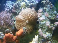 20130415_133838.jpg