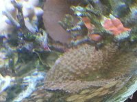 20130415_133944.jpg