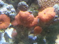20130415_133916.jpg