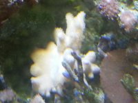 20130415_133854.jpg