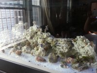 20130523_092249.jpg