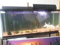 20130413_100530.jpg
