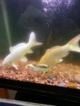 20130413_100511.jpg