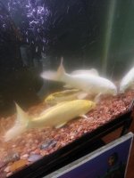 20130413_100548.jpg