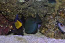 DSC_0390_01.jpg