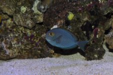 DSC_0402_01.jpg
