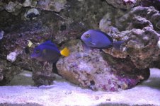 DSC_0237_01.jpg