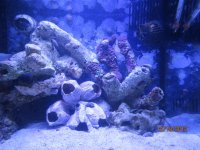 IMG_0525_018.jpg