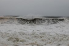 DSC_0023.jpg