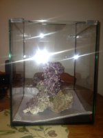 ImageUploadedByReefs1355978805.139141.jpg