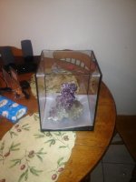 ImageUploadedByReefs1355978822.308175.jpg