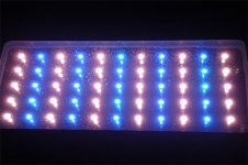 Light3.jpg