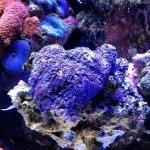 IMG_0840.jpg