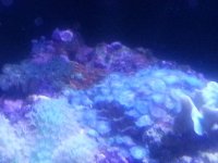 20130524_082226.jpg