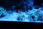 IMG_3264.JPG