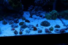 IMG_3267.JPG