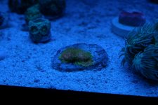 IMG_3268.JPG