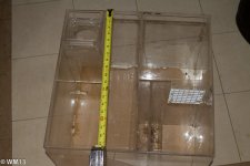 CK Sump-2.jpg