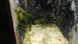 IMAG0297.jpg